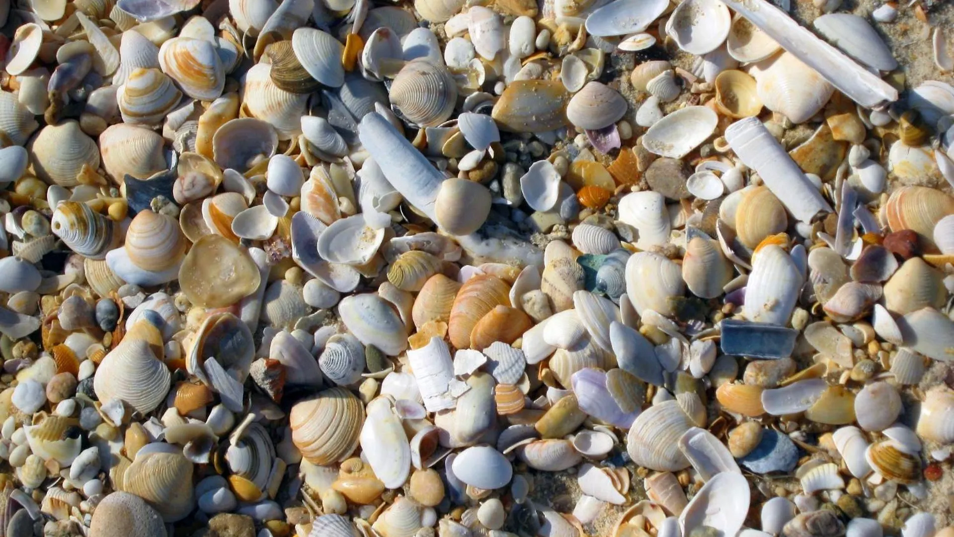 Moinhos Das Mares Fuzeta
