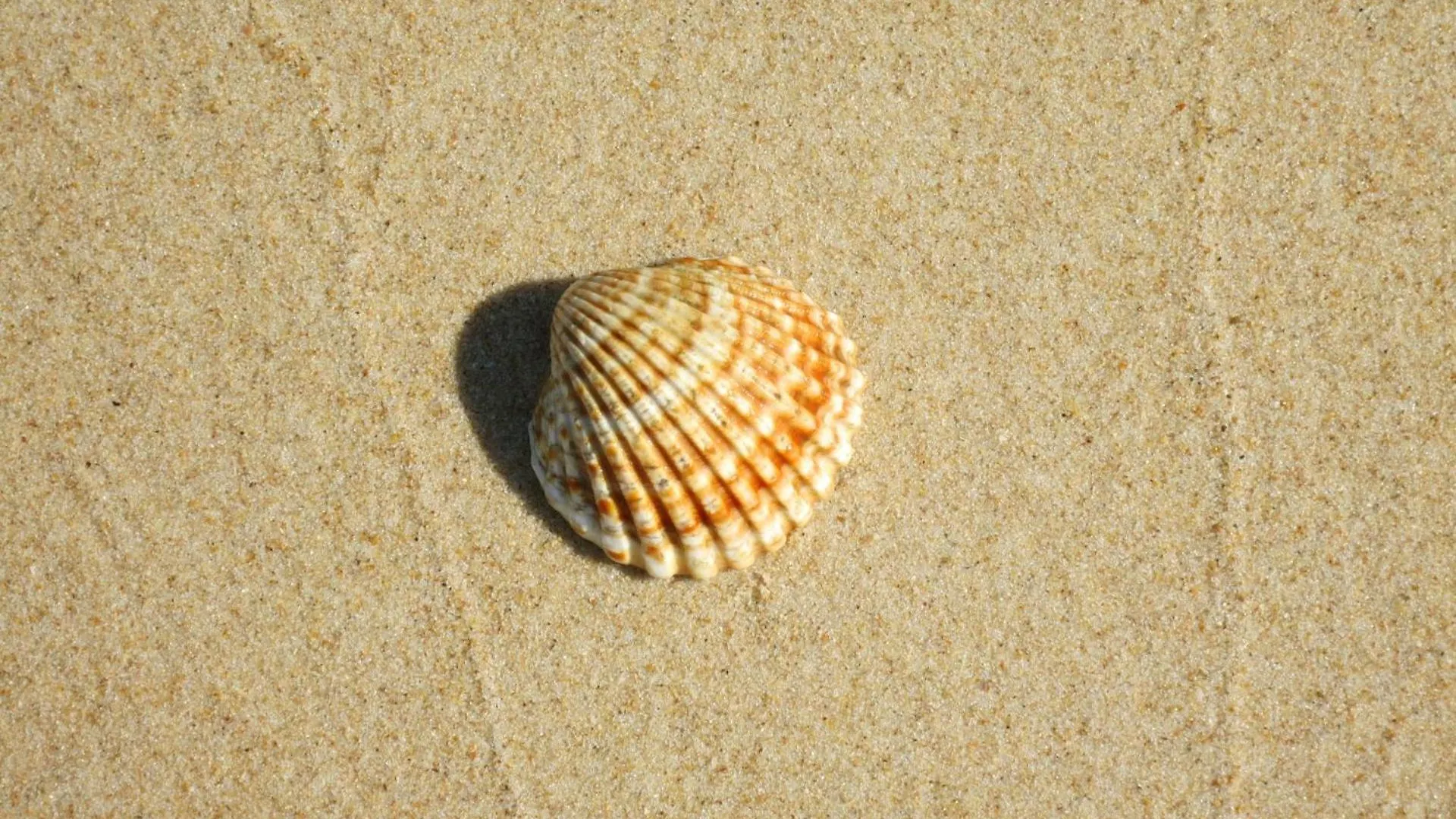 Moinhos Das Mares Fuzeta Casa de hóspedes