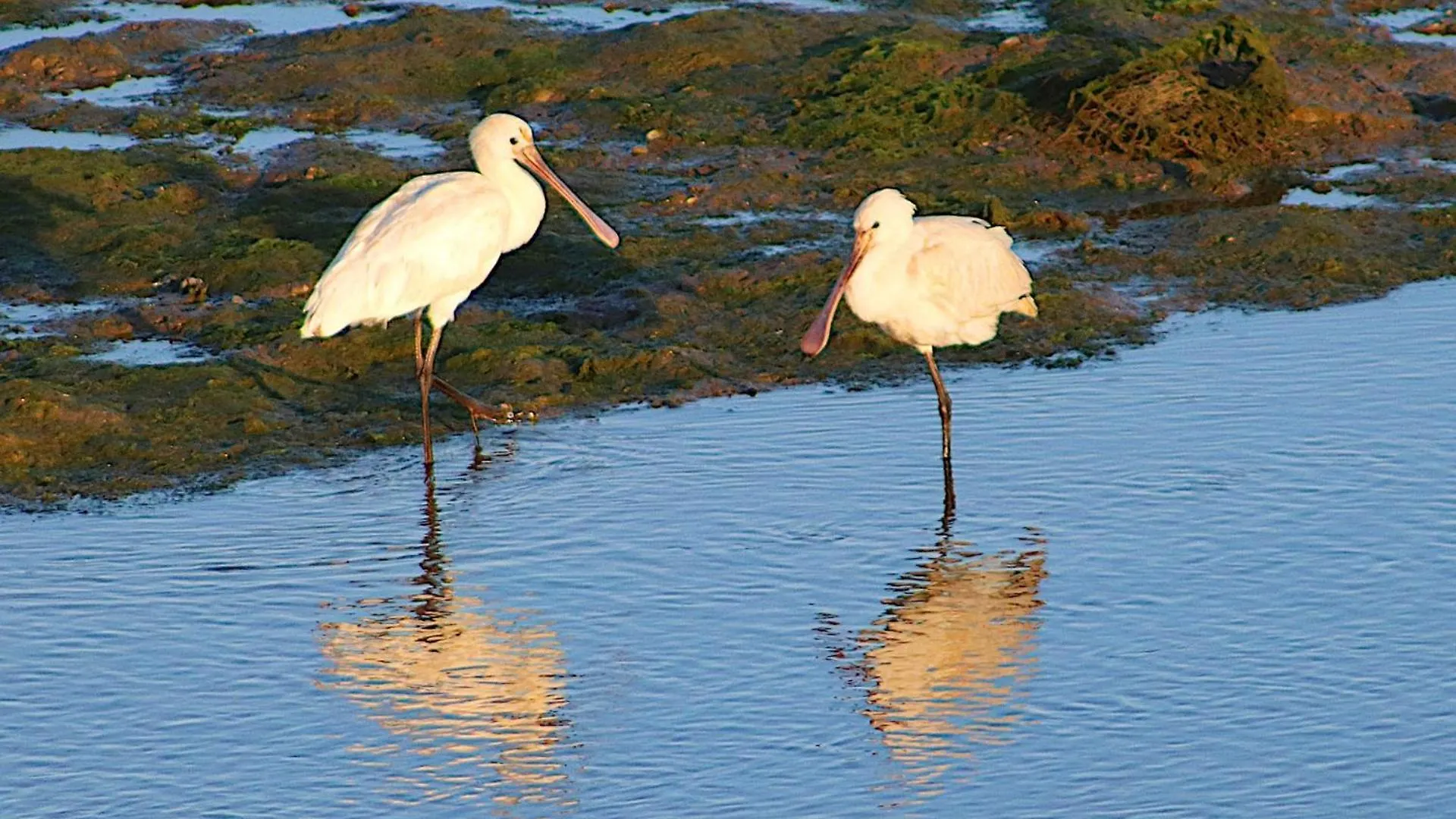 Moinhos Das Mares Fuzeta 3*,  Portugal