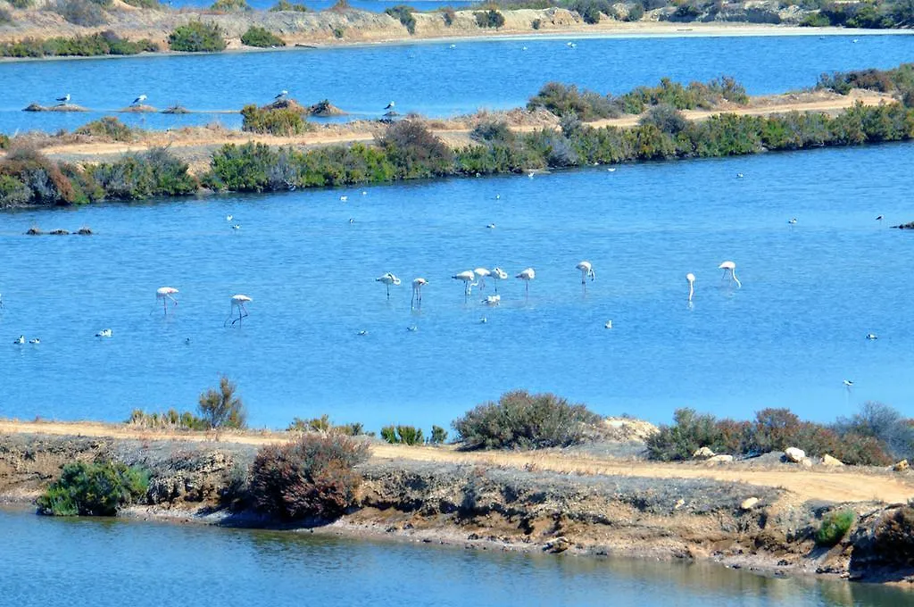 Moinhos Das Mares Fuzeta Portugal