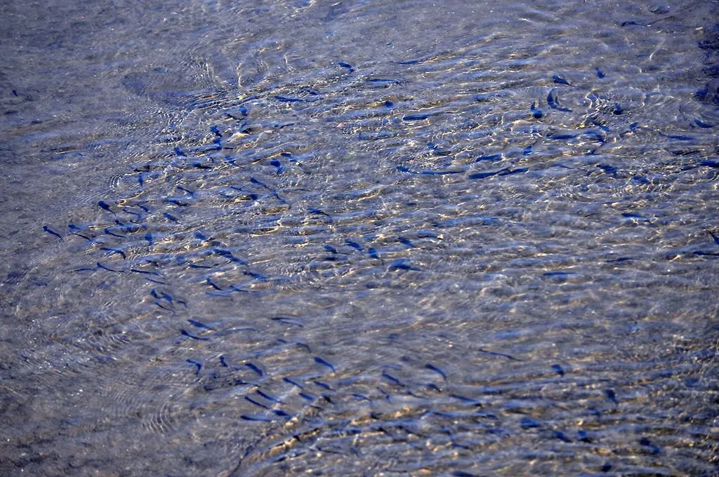 Πανσιόν Moinhos Das Mares Fuzeta